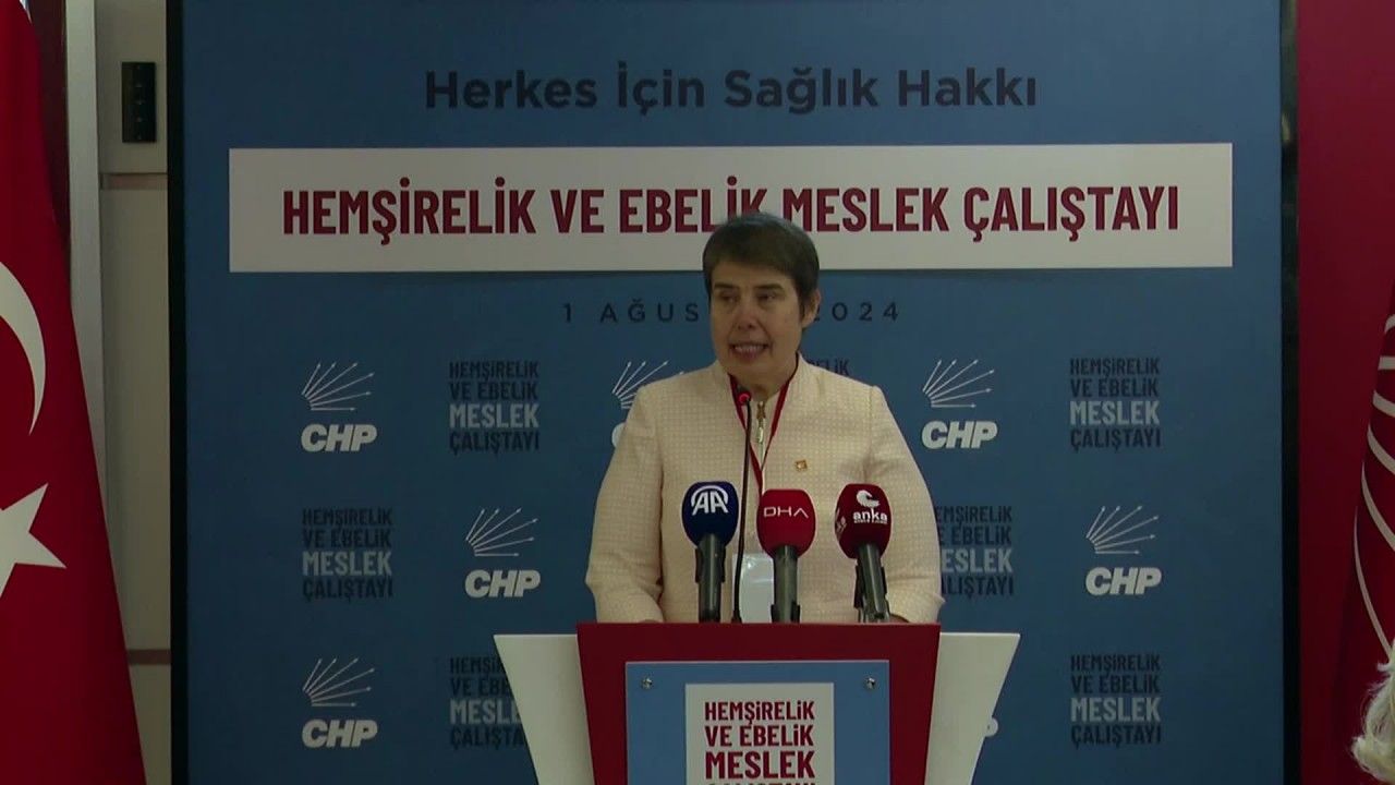 CHP'de Hemşirelik ve Ebelik Meslek Çalıştayı