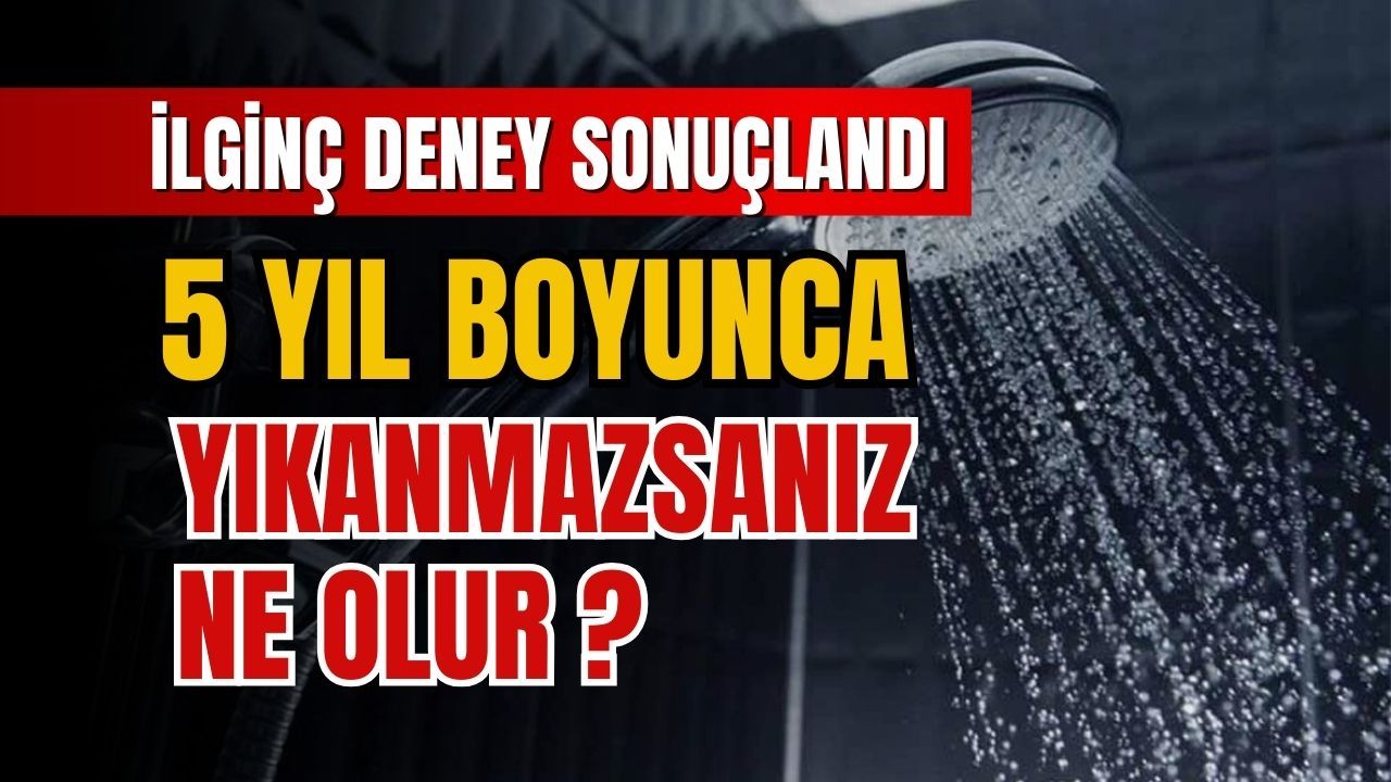5 yıl boyunca yıkanmazsanız ne olur?