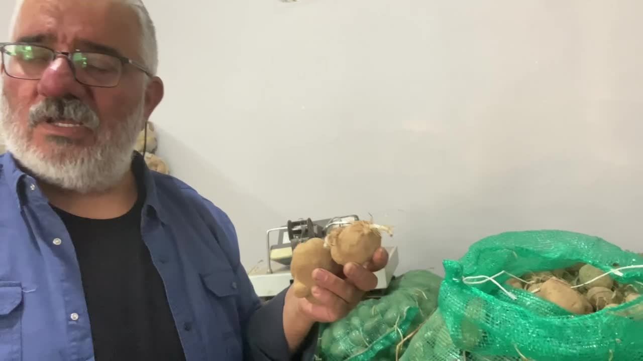 Ardahan'da planlı üretim listesinden çıkarılan "patates", çiftçileri isyan ettirdi: "60 ton patates tohumu elimde kaldı"