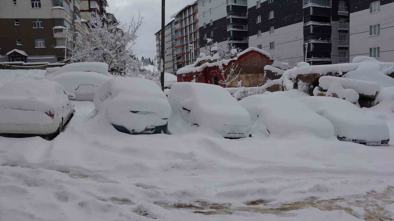 Bitlis'te arabalar ve tek katlı evler kara gömüldü