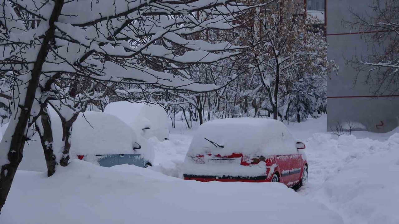Bitlis'te kar yağışı nedeniyle 87 köy yolu ulaşıma kapandı