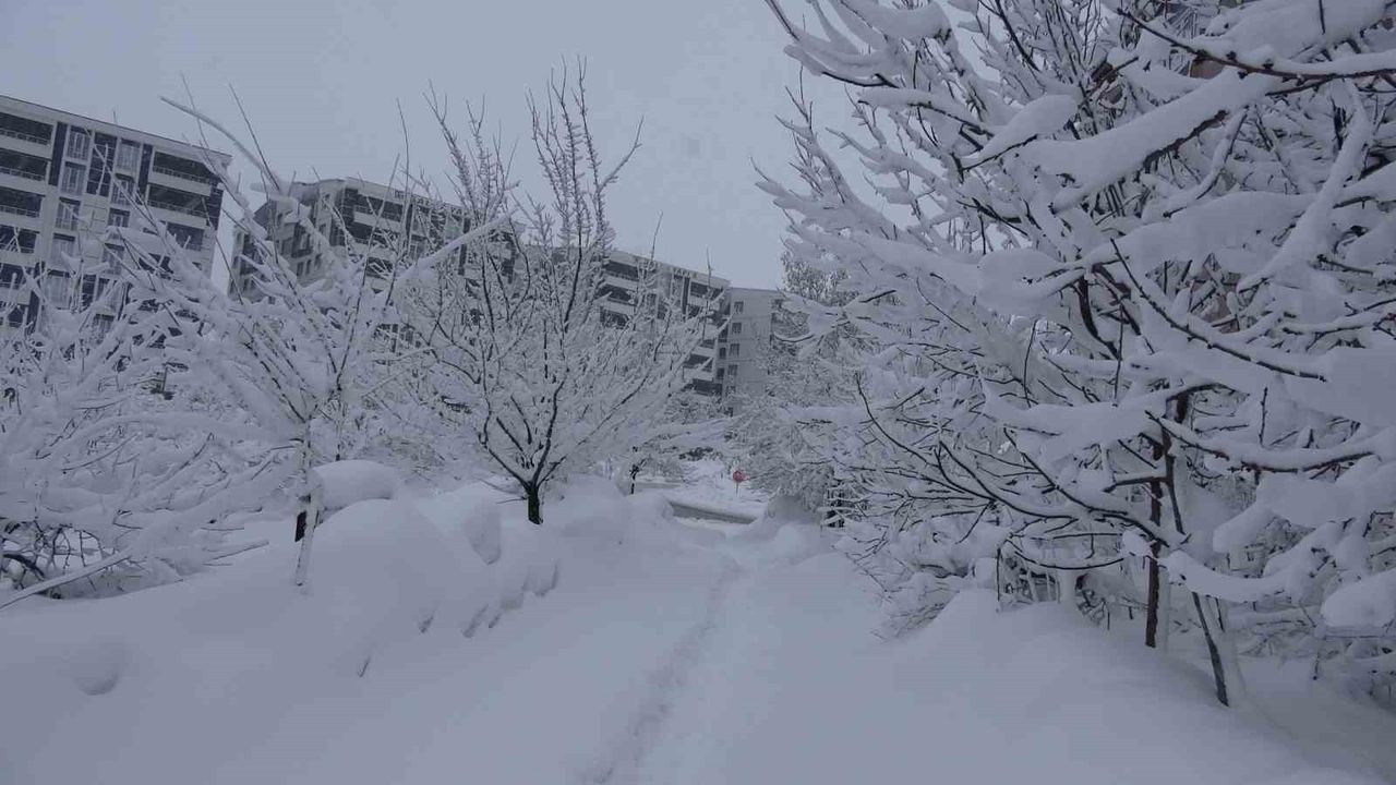 Bitlis'te kar esareti, 229 köy yolu ulaşıma kapalı
