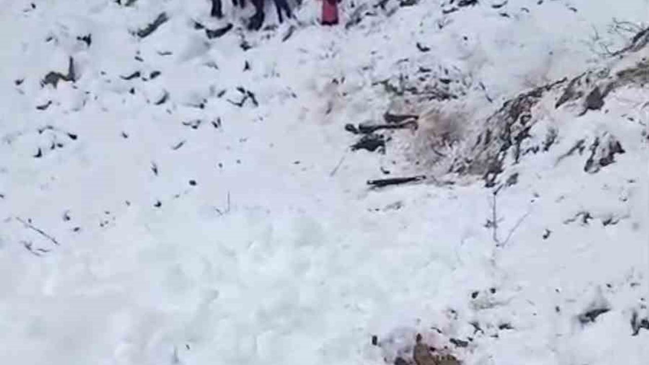 Gümüşhane'de kamyonet dere yatağına yuvarlandı: 5 yaralı