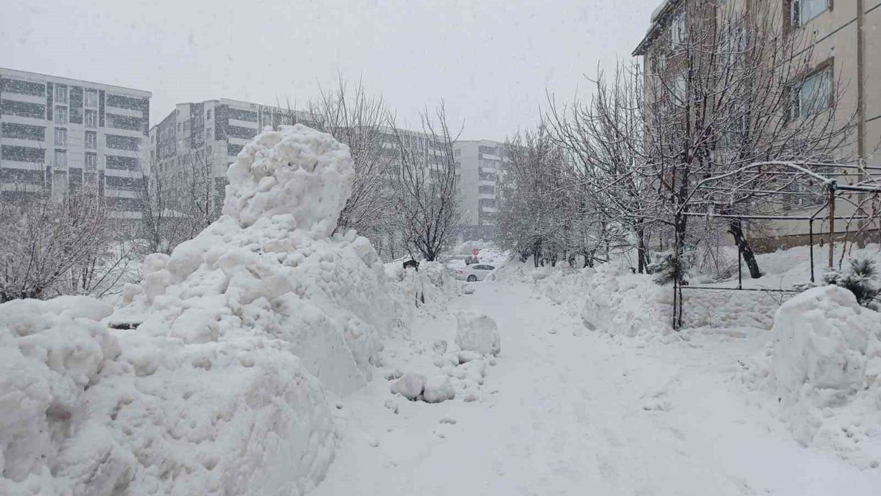 Bitlis'te kar yağışı yeniden etkili olmaya başladı