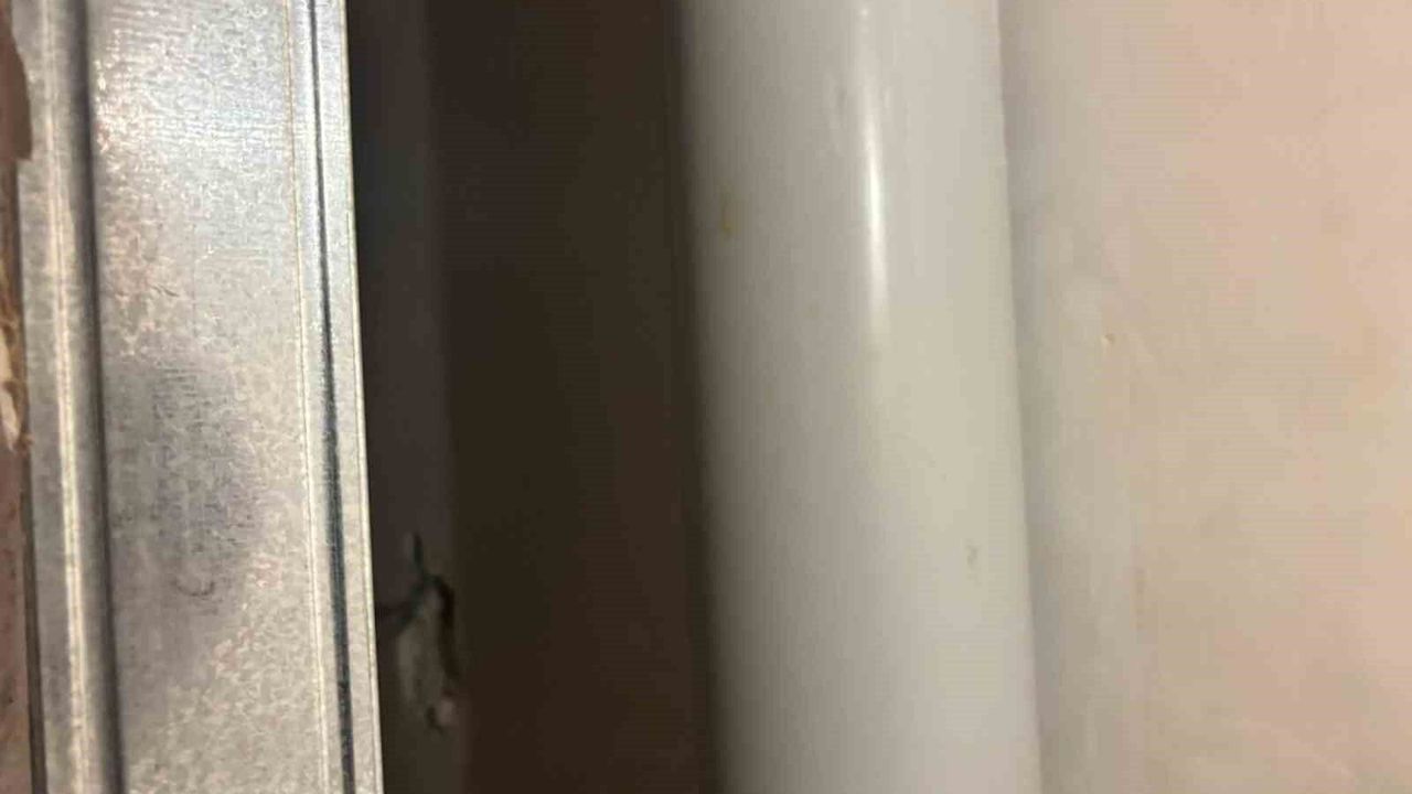 Gri kategoride aranan FETÖ firarisi Şadan Sakınan yakalandı