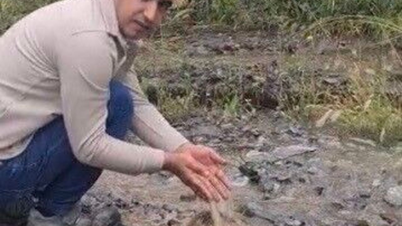 Dere yatağında mahsur kalan köpek ile toprak altındaki kaplumbağa kurtarıldı
