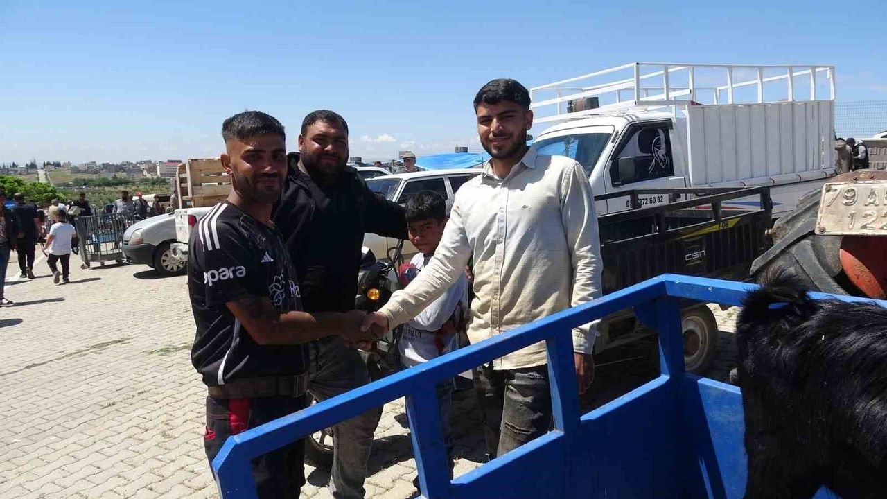 Kilis'te kurbanlık pazarında hareketlilik arttı
