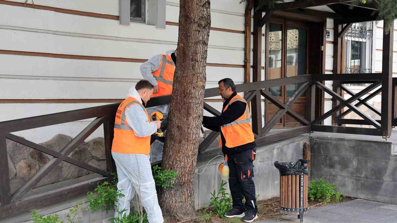 Talas'tan çevre dostu ilaçlama atağı
