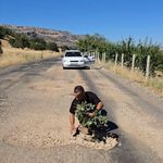 Çermik'te oluşan çukurlara ağaç dikerek yolların yapılmamasını protesto ettiler