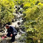 Uzungöl ve çevresindeki derelere 15 bin kırmızı benekli yavru alabalık bırakıldı