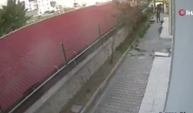 Ankara’da yavru köpeklere eziyet eden zanlı tutuklandı