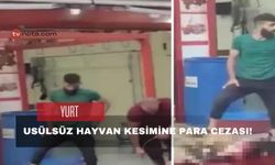 Usülsüz hayvan kesimine para cezası!