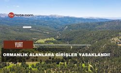 Ormanlık alanlara girişler yasaklandı