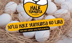 Halk Yumurta satışa sunuldu