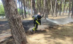 İznik Gölü sahilindeki tesiste yangın çıktı