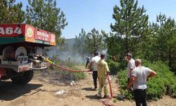 Kütahya'da çıkan yangın söndürüldü