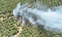 Çanakkale Bayramiç'teki yangına müdahale sürüyor