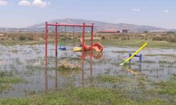 Mera alanı bakımsız kanallar yüzünden bataklığa döndü!