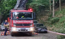 Belgrad Ormanı’nda ağaç park halindeki otomobilin üzerine devrildi