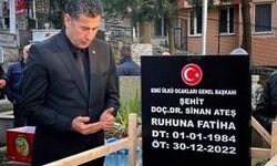 Sinan Oğan, Sinan Ateş davasında