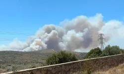 Çeşme'de orman yangını: 3 kişi hayatını kaybetti