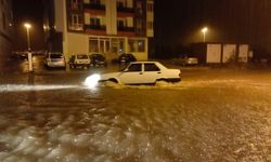 Şiddetli yağışla taşan dere su baskınlarına yol açtı