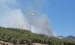 Hatay Hassa'da orman yangını