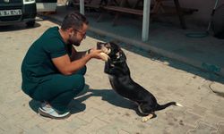 Belediye çalışanları, bir köpeği hayata döndürdü