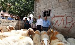 Belediyeden aldığı 16 koyunu 130’a çıkardı