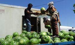 Iğdır karpuzuna Karadeniz'den büyük ilgi