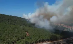 Son Dakika: Pendik’te orman yangını!