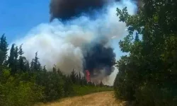 Kırklareli’nde yangın: Sebebi bilinmiyor