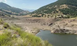 Afyon'da baraj göleti aşırı sıcaklardan kurumaya yüz tuttu