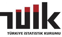 TÜİK İşgücü İstatistiklerini açıkladı