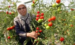 Kadın girişimcinin hobisi gelir kaynağı oldu