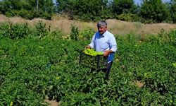 Başkan Buluşan: Ticaret yapanın bütün yükü üreticinin üzerinde