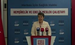 CHP'de Hemşirelik ve Ebelik Meslek Çalıştayı