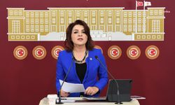 CHP'li Gülcan Kış: Alata Enstitüsünde rant odaklı girişimler var