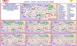 Haftalık rapor: Kuzeydoğu kesimler yağışlı, diğer bölgeler açık olacak