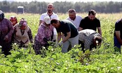 O şehirde çiftçilere satın alma garantisi veriliyor!