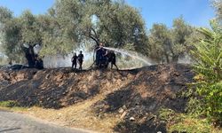 Alevlerin antik kente ulaşması engellendi