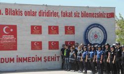 Cizre'de 12 şehit polis için anma