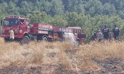 Düşen yıldırım, yangına neden oldu