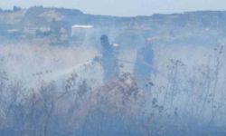 Hatay'da çalılık yangını çıktı