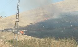 Mardin’de başlayan ot yangını söndürüldü