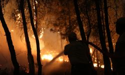 Orman yangınına gece boyunca müdahale edildi