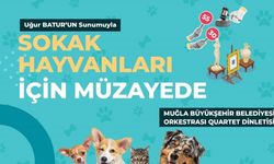 Sokak hayvanları için müzayede düzenlenecek