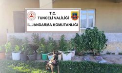 Uyuşturucu operasyonunda 2 kişi tutuklandı