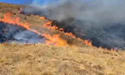 Anız yangını uyarısı