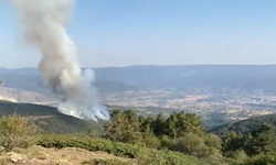 Çankırı Ilgaz'da orman yangını!